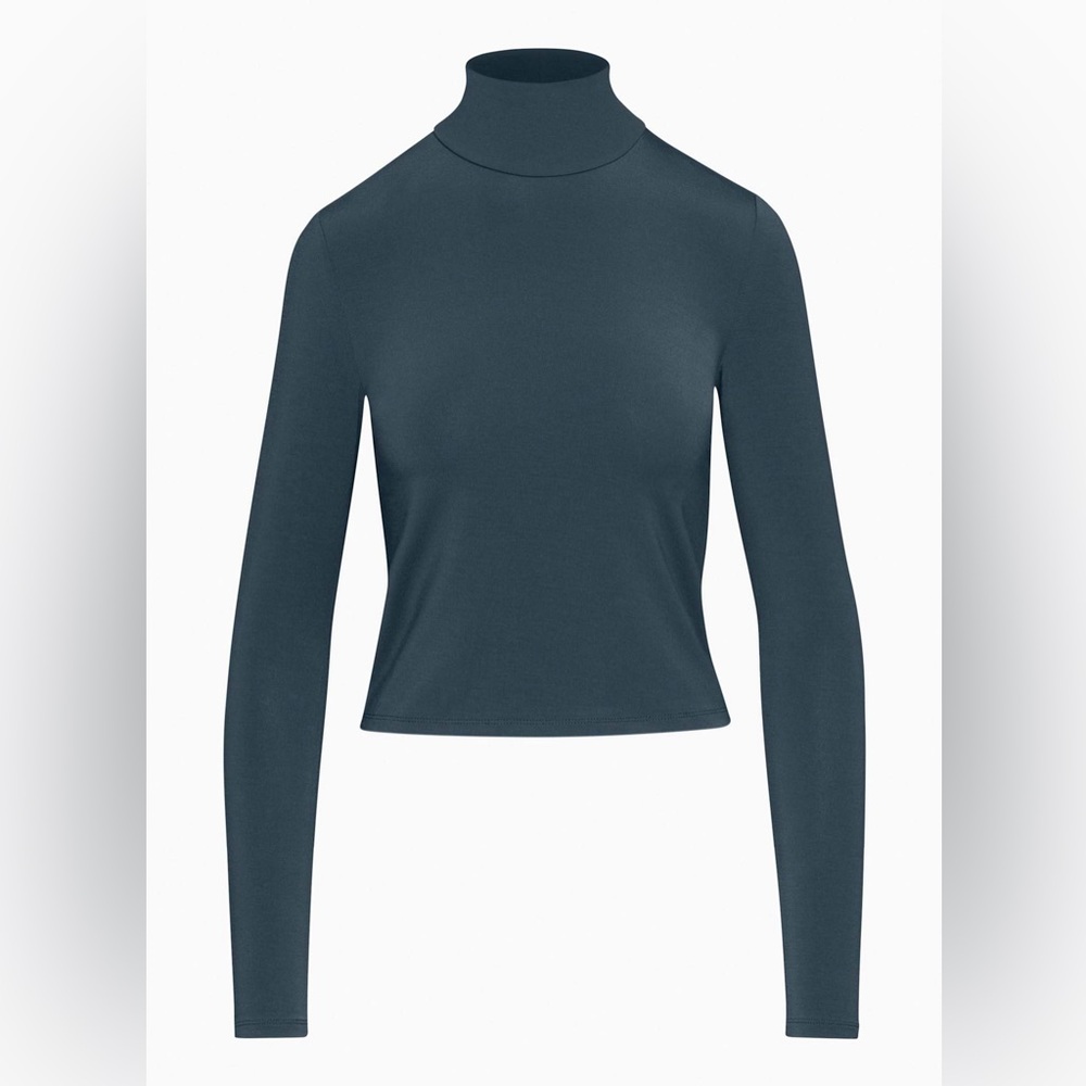 Aritzia Babaton Everyday Mockneck Longsleeve - Charcoal Grey Fitted Turtleneck
